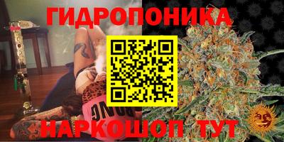 индика Можайск