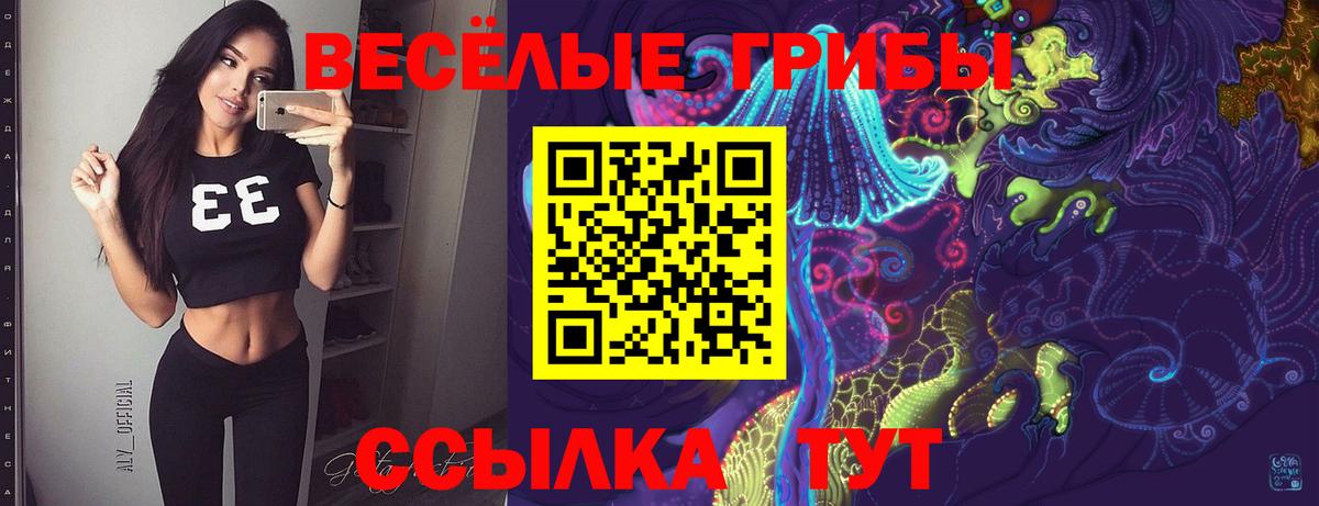 дарнет шоп  Галлюциногенные грибы мухоморы  Вход с VPN  Бузулук 
